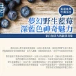 【幸美生技】加拿大進口鮮凍野生藍莓1kg x4包組合(A肝病毒檢驗通過 無農殘重金屬檢驗)