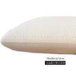 【LUST】美國大顆支撐款 100%天然 乳膠枕 防蹣抗菌/日本技術乳膠/枕頭(白色)