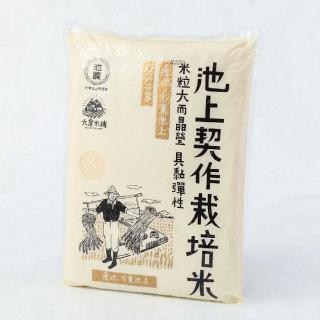 【大倉米鋪】池上契作栽培米6kg/包