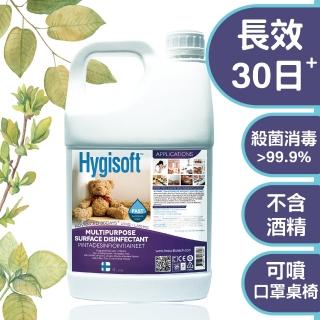 【芬蘭Hygisoft科威】多用途表面殺菌消毒噴霧 4L(防疫 殺菌消毒 防蹣防黴)