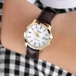 【CASIO 卡西歐】都市魅力風格咖啡色女士皮帶腕錶手錶 LTP-V004GL-7A