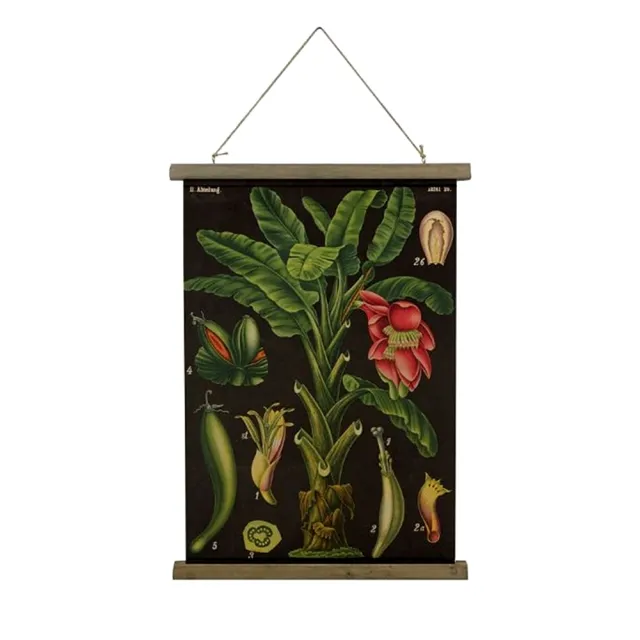 JEN】美式復古卷軸植物圖鑑裝飾掛畫40*60cm(4款可選) - momo購物