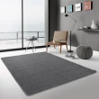 【范登伯格】華爾街簡單的地毯(210x260cm/共三色)