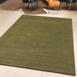 【範登伯格】比利時 璀璨四季長毛地毯(200x290cm/共兩色)
