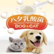 【LCH】寵物乳酸菌60g-犬貓保健食用2個月(大罐裝 - 調整毛體質_維持抵抗力)