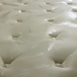 【FAMO】防蹣抗菌獨立筒床墊(雙人5尺)