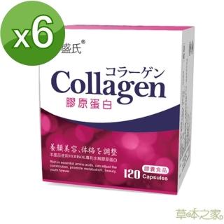 【草本之家】水解膠原蛋白膠囊6入組(120粒/入)
