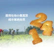 【台灣優格餅乾學院】數字蔬菜餅乾38g(鹹餅乾/酥脆鹹香/可口脆餅)