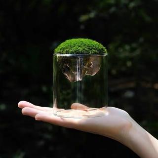 【沐森Green Life】1入 雪山造型玻璃花器 微景觀 花器(不含苔蘚 多肉植物)