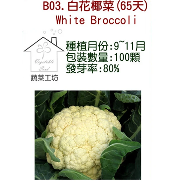 蔬菜工坊