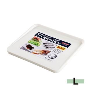 【日本ASVEL】銀離子抗菌砧板-L(廚房用品 衛生安全 健康環保 斜面 雙面)