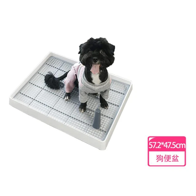 小便盆