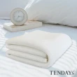 【TENDAYS】立體蜂巢透氣網(加大單人床墊用)
