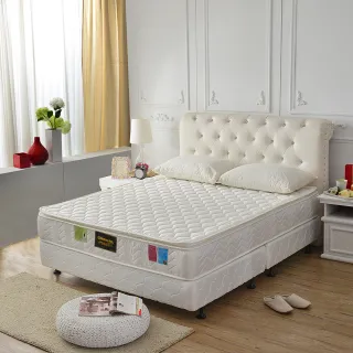 【A+愛家】正三線-抗菌-防潑水蜂巢獨立筒床墊(雙人五尺)