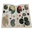 The Bees Birds & Butterflies Sticker+The Seashore Sticker+The Botanist’’s Sticker Anthology
