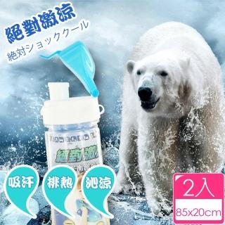 【ECO COOLING】ECO COOLING絕對激涼-運動水壺型專用涼感巾(藍色2入組)