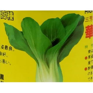 【蔬菜工坊】A66.華王青梗白菜種子
