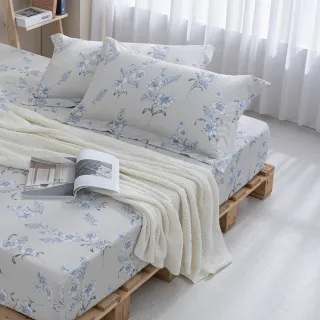 【MONTAGUT 夢特嬌】60支長絨棉三件式枕套床包組-靜幽蘭(特大)