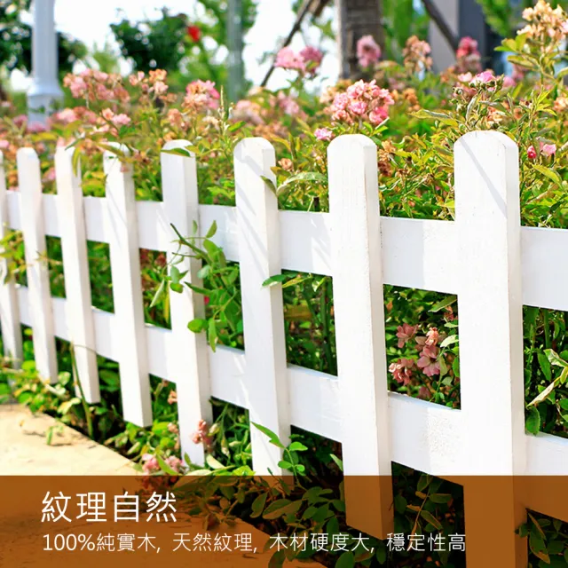 【艷陽庄】尖頭插地圍籬-白色(60x55x3cm 1入)
