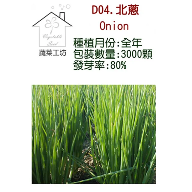 【蔬菜工坊】D04.北蔥種子