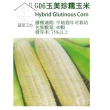 【蔬菜工坊】G06.糯玉米種子(玉美珍)