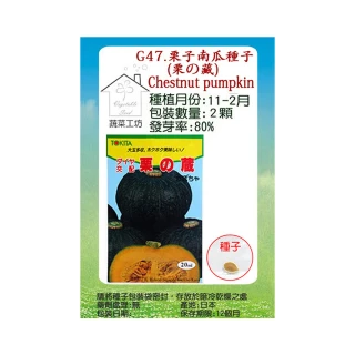 【蔬菜工坊】G47.栗子南瓜種子(栗舘藏)