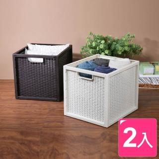【KEYWAY 聯府】卡特藤蔓風深型收納置物籃 30L(2入)