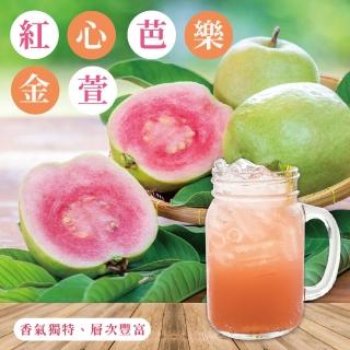 【上野物產】共90包 紅心芭樂金萱冷泡茶包 隨身包 原葉三角茶包(30包/組 共3組 2.5g/包)