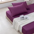 【MONTAGUT 夢特嬌】200織精梳棉三件式床包組-薔薇紫(雙人)