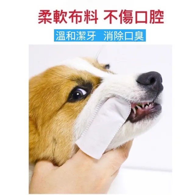 【KOJIMA】寵物3效合1潔牙指套濕巾36入/包(貓狗去除牙垢滋潤牙齦清潔牙齒 毛孩寵物牙膏牙刷)