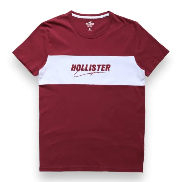 【HOLLISTER Co】海鷗 男生 經典刺繡文字 短袖T恤 男款 短TEE 多色多款(海鷗 男生 短袖 多款多色)