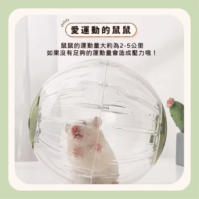 【chachacha】水晶鼠球 18.5cm 3色(倉鼠球/鼠用品)