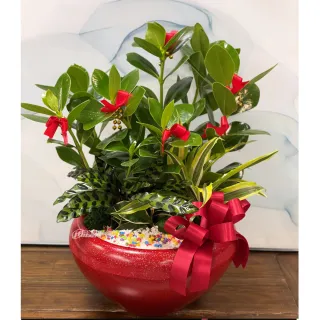 【偉盛花坊】書代木盆栽組合(開幕．榮陞．喬遷．公司行號)