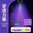 【驗鈔神器】365nm紫外線LED手電筒(驗鈔筆 防偽 螢光劑檢測 紫光燈 UV燈)