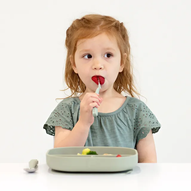 【Loulou lollipop】加拿大 矽膠吸盤式餐盤盒 多款可選(學習餐具/兒童餐具/矽膠餐具)