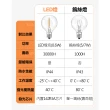 【Innatures】G40 LED燈串(G40燈條 裝飾燈串露營燈 露營燈串 led 燈串)