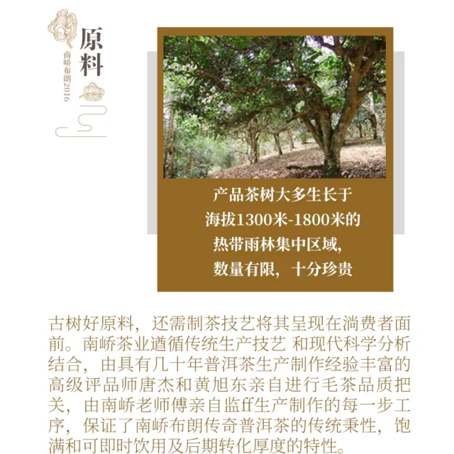 【盛嘉源】車佛南 布朗傳奇 2016年(普洱茶   生茶 357g)