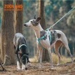 【酷博士】ZOOLAND 寵物輕量附繩胸背帶(牽繩 遛狗)