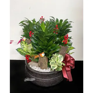 【偉盛花坊】阿波羅組合6(開幕．榮陞．喬遷．公司行號．桌上擺飾)