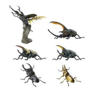 【BANDAI 萬代】轉蛋 生物大圖鑑迷你收集 昆蟲03 全6種(日版)