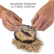 【National Geographic 國家地理】恐龍化石挖掘套組(收藏恐龍化石)