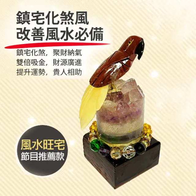 【A1 寶石】//出清下殺//挖寶區-巴西水晶鳥-同烏拉圭紫水晶洞能量/招財/開運/擋煞/防小人/貴人運旺