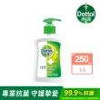 【Dettol 滴露】經典松木/清新柑橘/滋潤倍護潔手液洗手乳(250ml*1入)