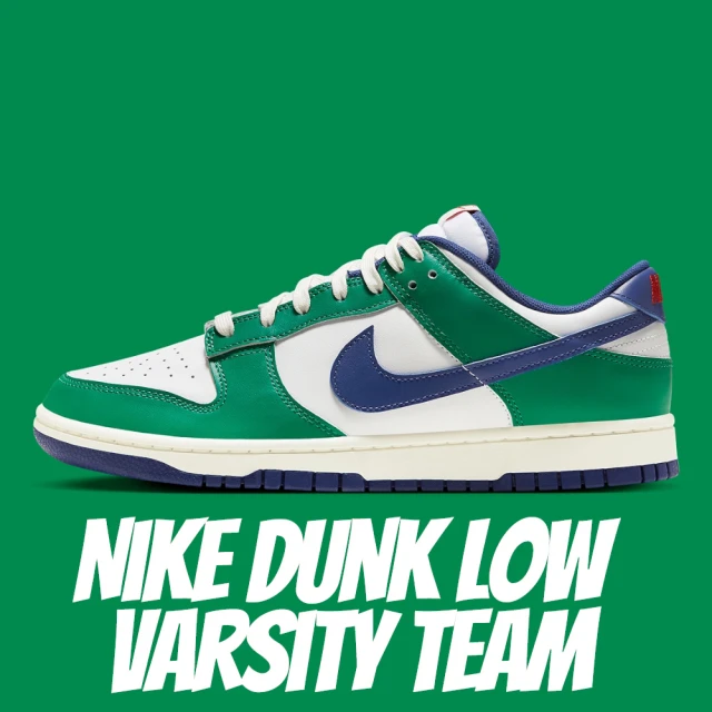 NIKE 耐吉 休閒鞋 Dunk Low Retro Hoo