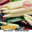 【海肉管家】冷凍玉米筍段_家庭號(1包_1Kg/包)