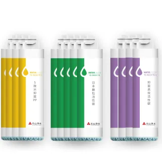 【元山】立地型一年份濾芯組 適用於YS-8211RWSAB YS-8212RWSAB(濾心)