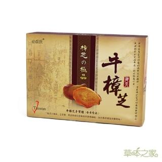 【草本之家】御天樟芝錠1入組(20粒/入牛樟芝)