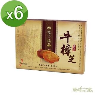【草本之家】御天樟芝錠6入組(20粒/入)
