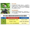 【草本之家】海洋雙胜肽膠囊3入組(60粒/入鰹魚胜肽.白勺.薑黃.芹菜籽.奧勒岡草.桑葚)