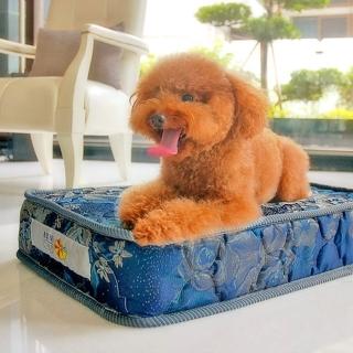 【凱蕾絲帝】大中型寵物專用獨立筒彈簧床墊(60*90*11cm)